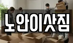 노안이삿짐