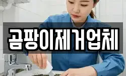 곰팡이제거업체