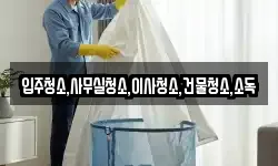 입주청소,사무실청소,이사청소,건물청소,소독