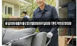 용달이사원룸투룸오피스텔이사사무실이사1톤트럭반포장이사