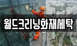 월드크리닝화재세탁