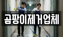 곰팡이제거업체