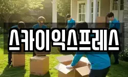 스카이익스프레스