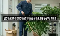 입주청소이사청소거주청소상가청소준공청소,피톤살균무료서비스