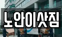 노안이삿짐