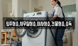 입주청소,사무실청소,이사청소,건물청소,소독