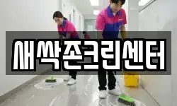 새싹존크린센터