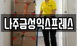 나주금성익스프레스
