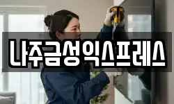 나주금성익스프레스