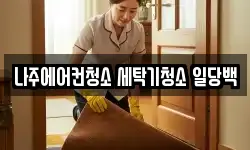 나주에어컨청소 세탁기청소 일당백