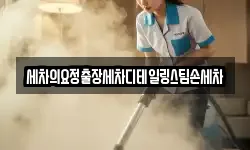 세차의요정출장세차디테일링스팀손세차