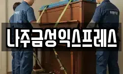 나주금성익스프레스
