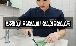 입주청소,사무실청소,이사청소,건물청소,소독
