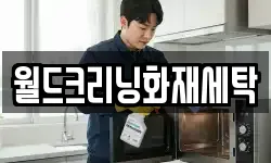 월드크리닝화재세탁