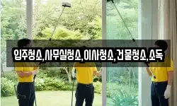 입주청소,사무실청소,이사청소,건물청소,소독