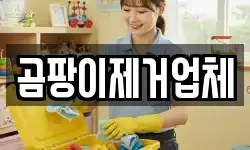 곰팡이제거업체