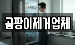 곰팡이제거업체