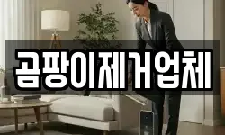 곰팡이제거업체