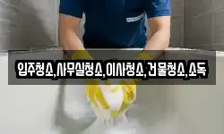 입주청소,사무실청소,이사청소,건물청소,소독