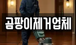 곰팡이제거업체