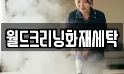 월드크리닝화재세탁