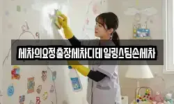 세차의요정출장세차디테일링스팀손세차