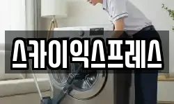 스카이익스프레스