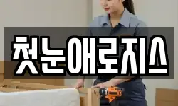 첫눈애로지스