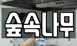 숲속나무