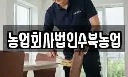 전라남도 담양군 대덕면 청소,입주청소,사무실청소,에어컨청소