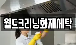 월드크리닝화재세탁