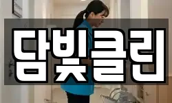 담빛클린