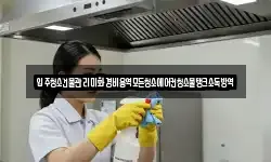 입주청소건물관리미화경비용역모든청소에어컨청소물탱크소독방역