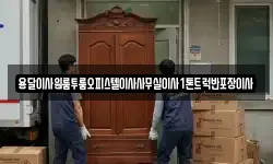 용달이사원룸투룸오피스텔이사사무실이사1톤트럭반포장이사