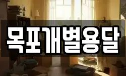 목포개별용달