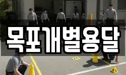 목포개별용달