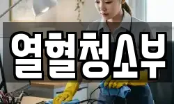 열혈청소부
