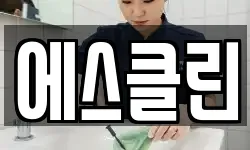에스클린