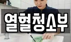 열혈청소부