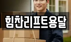 힘찬리프트용달