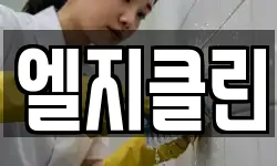 엘지클린