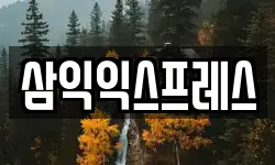 전라남도 목포시 상동 이사,용달이사,포장이사,원룸이사,보관이사