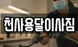 천사용달이사짐