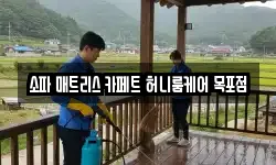 소파 매트리스 카페트 허니룸케어 목포점