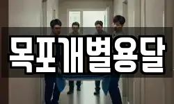 목포개별용달