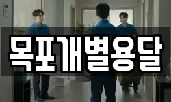 목포개별용달