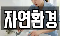 자연환경