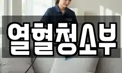 열혈청소부
