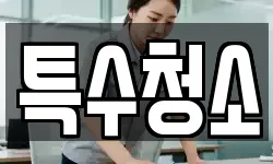 특수청소