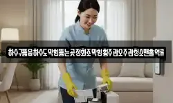 하수구뚫음하수도막힘뚫는곳정화조막힘횡주관오주관청소맨홀역류